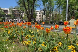 "Banjaluka" koja krasi Banjaluku