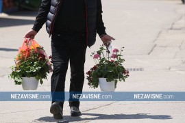 Ne cvjeta prodaja sezonskog cvijeća
