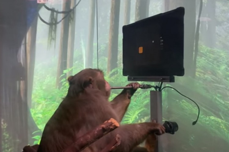 Proizvod Maskove kompanije, da li ćemo svi imati sposobnost telekineze