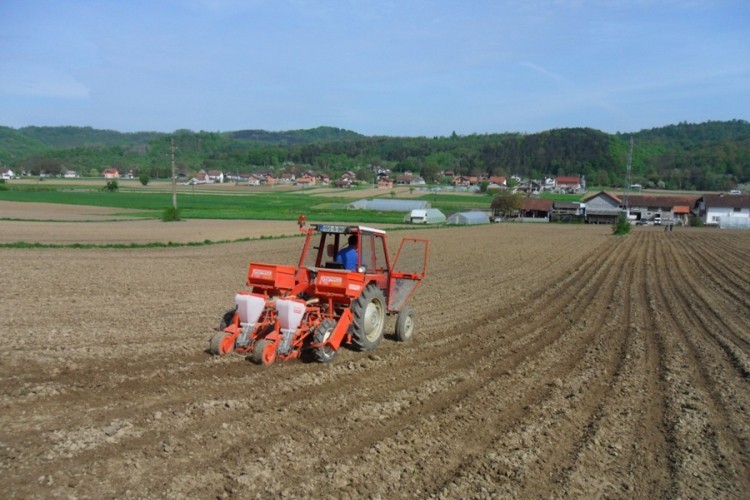 Planirana sjetva kukuruza na 18.000 hektara