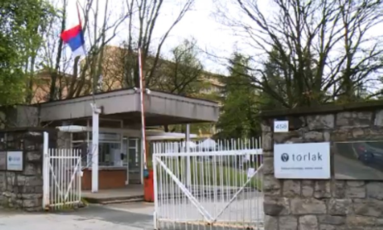 "Torlak" će proizvoditi i četvorovalentnu vakcinu protiv gripa