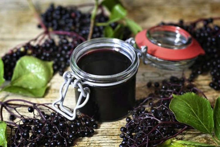 Prirodni sirup od crne zove