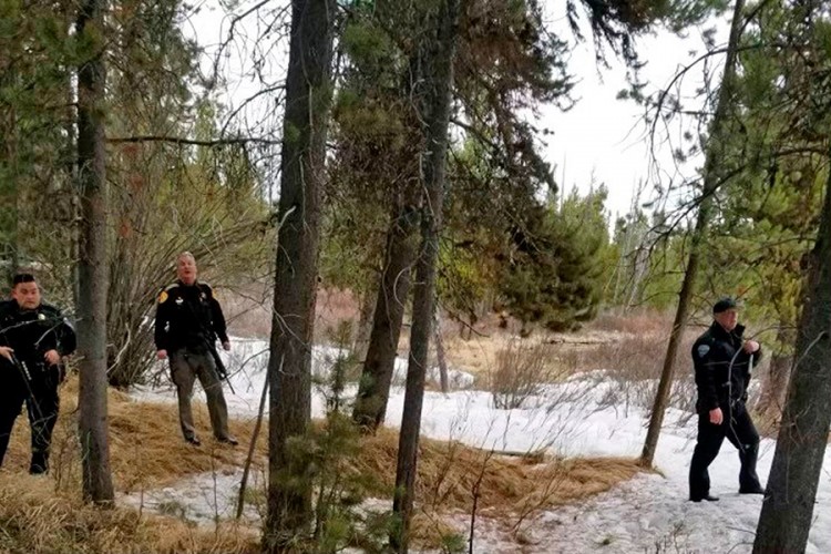 Vodič stradao u napadu grizlija