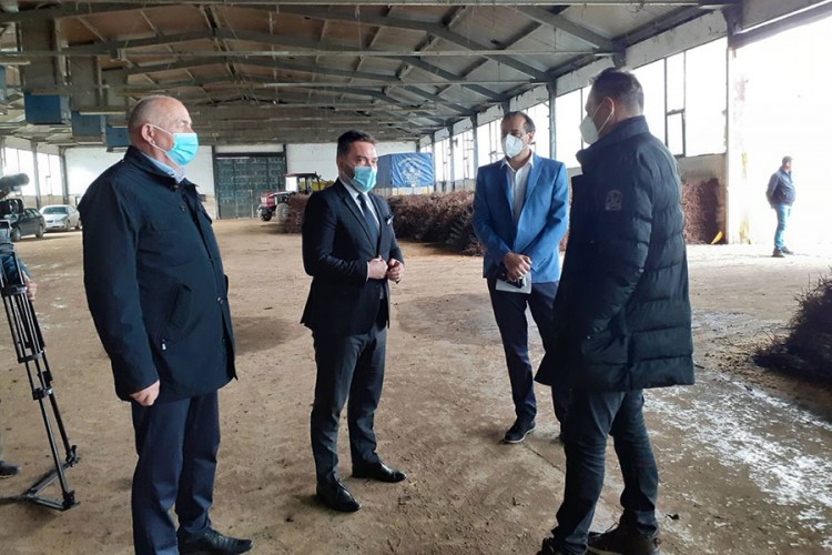 "Poljoagro" izvozi 800.000 sadnica voća u Rusiju
