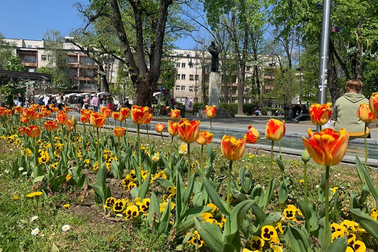"Banjaluka" koja krasi Banjaluku