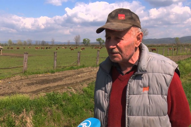 Ostao bez oranice, a ima oko 800 grla koje mora hraniti