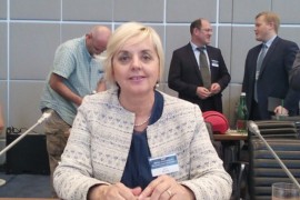 Rudić: Težak položaj novinara u BiH