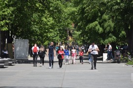 Dužina drvoreda 45,5 km, ali Banjaluci fali još zelenila