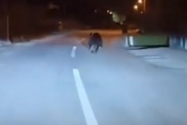 Medvjed snimljen u banjalučkom naselju