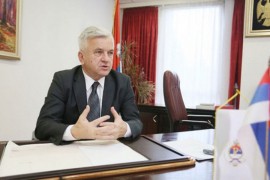 Čubrilović: Previše značaja se dalo Inckovom pismu