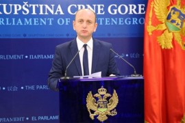 Knežević: Ministarka Injac samo još šotu nije zaigrala