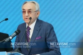 Miroslav Mišković se povlači iz operativnog upravljanja Delta ...