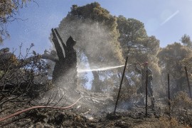 Grčka: U požaru spaljeno više od 4.000 hektara šume