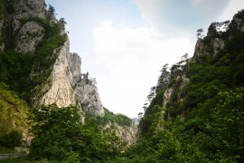 Biljni i životinjski svijet u BiH najbogatiji u Evropi
