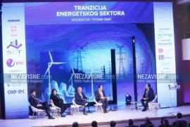 Petrović: Velika korist od Samita energetike