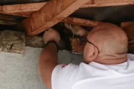 U krovu kuće pronašli zmiju