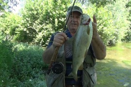 Slikar upecao lipljena teškog 2,3 kilograma