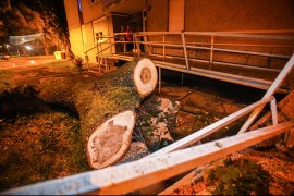 Nevrijeme u Zagrebu, jak vjetar obarao drveće