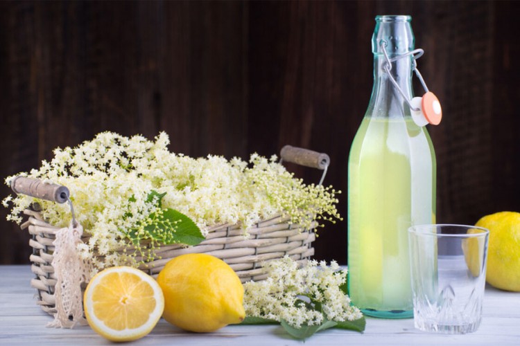 Bakin recept za sirup od zove