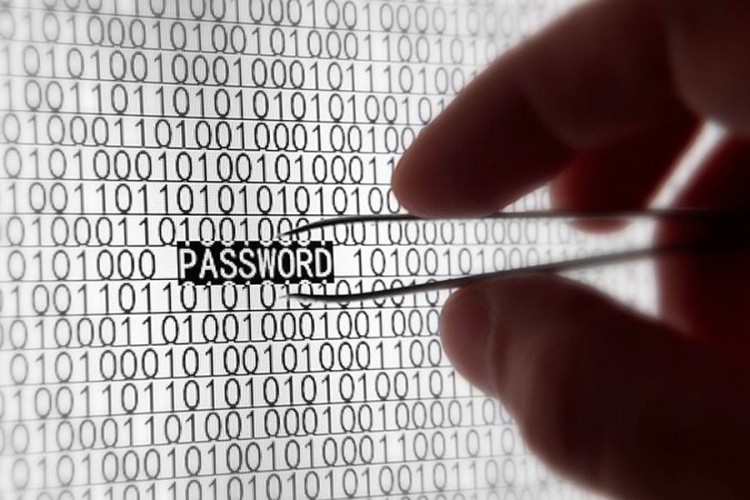 Vic dana: Fata i password