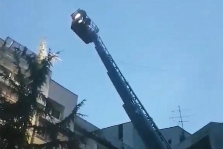 Vatrogasci spasili mače sa bora u Banjaluci