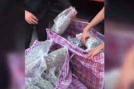 Državljani Srbije uhapšeni u Veroni: U keksu i uglju prevozili 232 ...
