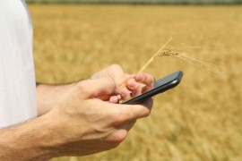 Digitalne inovacije stigle u trebinjsku poljoprivredu: Klikom ...