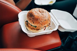Kako da čuvate hranu u automobilu