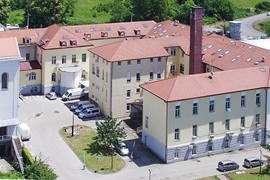 Pacijent uhapšen zbog krađe slika iz Zavoda "Miroslav Zotović"