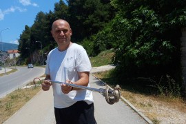 U Trebinju za dva dana ulovljena dva poskoka: Zmije se penju i na ...