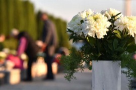 Optužen da je na groblju bacio 10kg droge