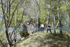 Srce prašume "Perućica" čuvaju taksom od 1.000 KM