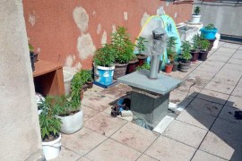 U stanu uzgajao marihuanu, policija zaplijenila 72 stabljike