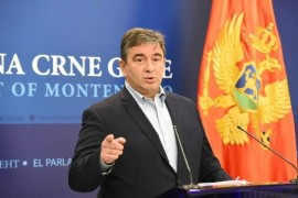 DF: Građani nisu glasali da vlada bude rezervni DPS