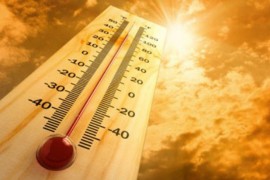 Talas vrućina u Kanadi odnio najmanje 233 života