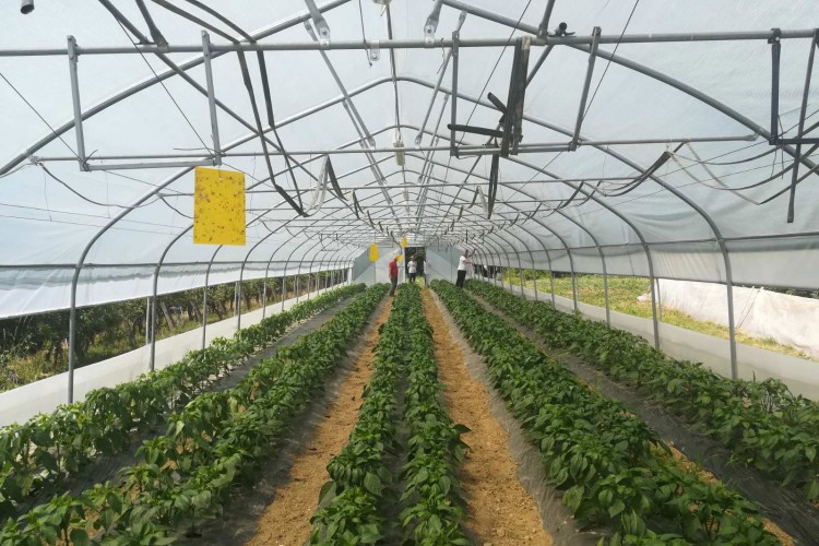 Proizvođači paprika iz Doboja s njiva stigli na predavanje