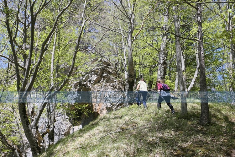 Srce prašume "Perućica" čuvaju taksom od 1.000 KM