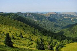Nestao muškarac na Kopaoniku, u toku potraga
