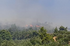 Požar na Kefaloniji, evakuisano naselje Kapandriti