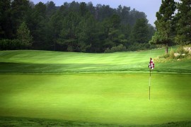 Profesionalni golfer ubijen na terenu za golf