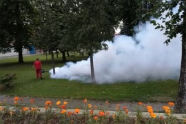 Počinje zaprašivanje komaraca u Banjaluci
