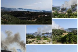 Požar na Braču: Gori oko četiri hektara borove šume