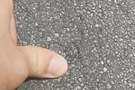 Vrućina topi beogradski asfalt pod prstima