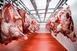 Govedina iz BiH stiže na Bliski istok