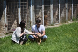 Udruženje građana "Kerber" okuplja veliki broj ljubitelja životinja
