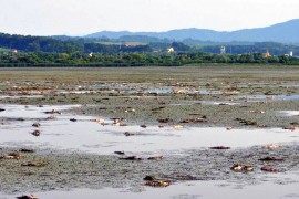 Podnesen izvještaj protiv direktora "Ribnjaka" Prnjavor