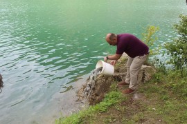 Drina poribljena pastrmkom i šaranom
