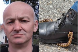 Ujeo ga poskok: Osjetio sam kako me nešto "klepi'', kao iglom