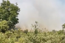 Požar na širem području Neuma