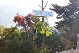 Natpis na smokvi na Korčuli nasmijao mnoge: "Ni smokvu više ne ...